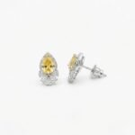 Rineva Sunlit Royale Teardrop Crystal Earrings - Image 3
