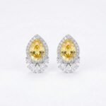 Rineva Sunlit Royale Teardrop Crystal Earrings